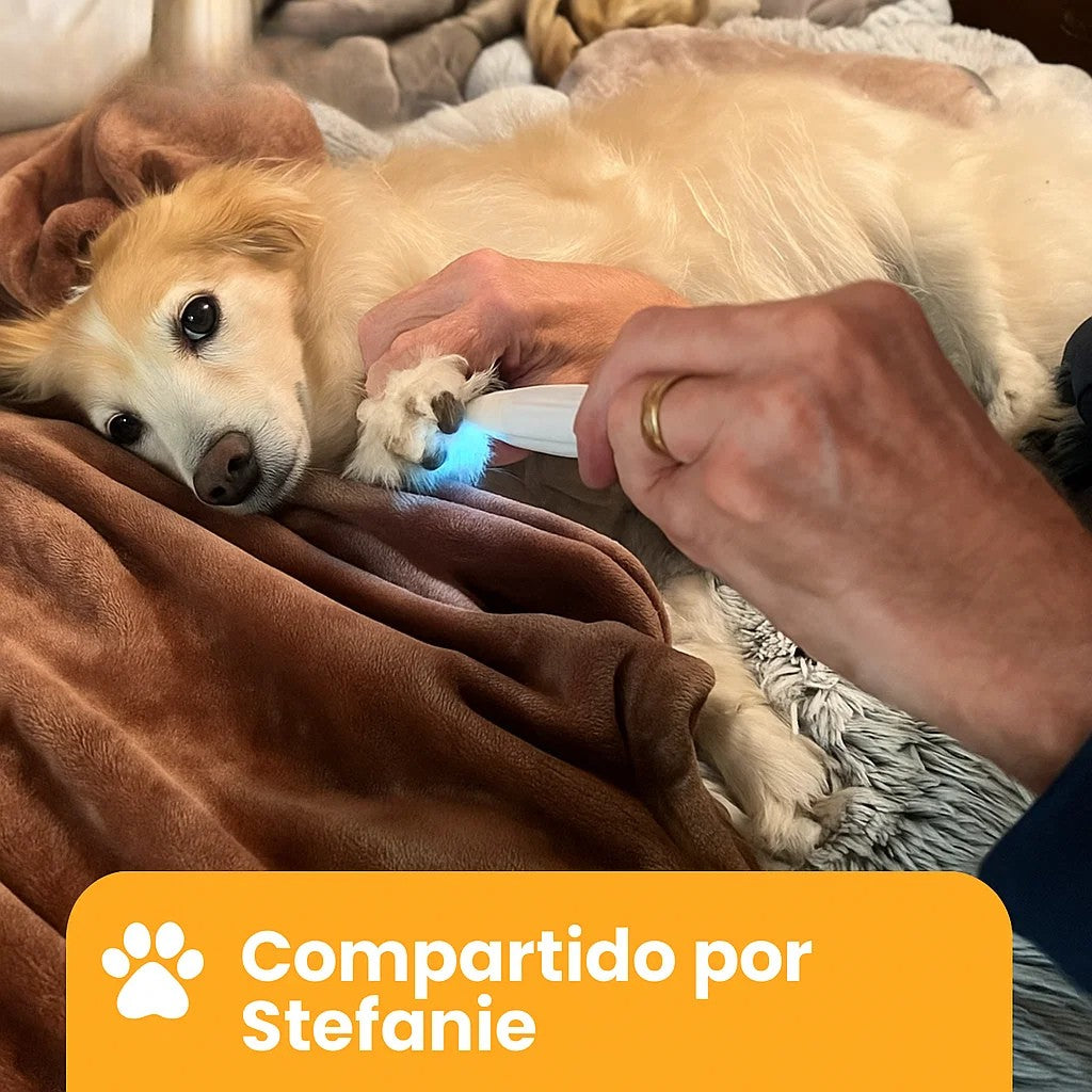 PawTrim Pro™ – Cuidado indoloro de las patas en segundos