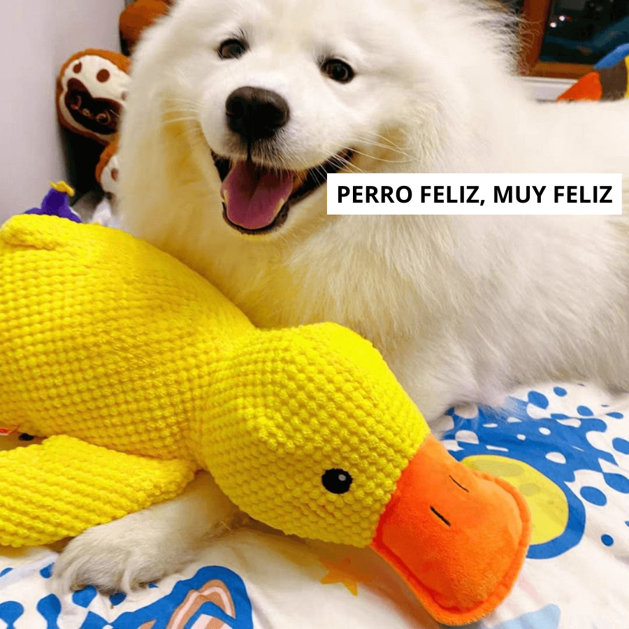 MordiLobo™ el Pato Calmante - Diseñado para mordedores fuertes
