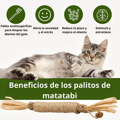 Palillo de plata natural - Besties Avenue