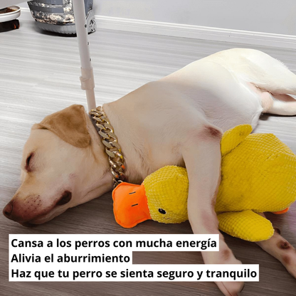 MordiLobo™ el Pato Calmante - Diseñado para mordedores fuertes
