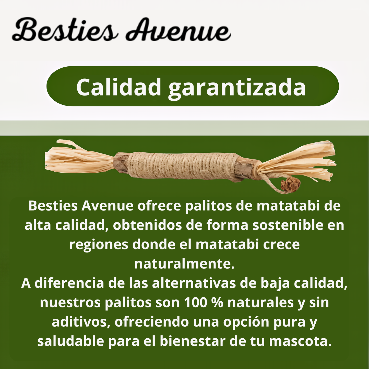 Palillo de plata natural - Besties Avenue