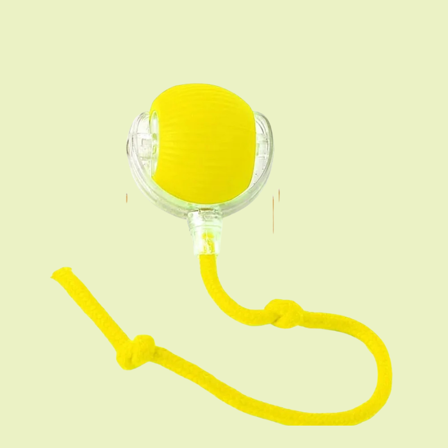 Pelota Mágica para gatos