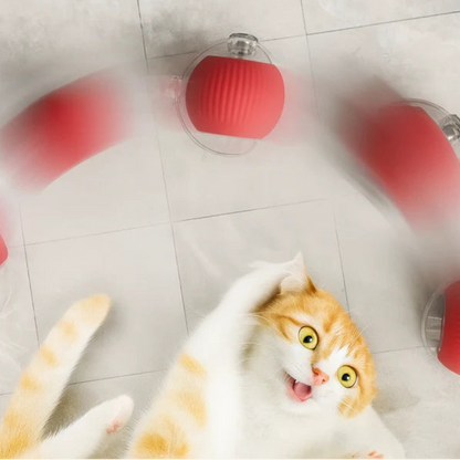 Pelota Mágica para gatos