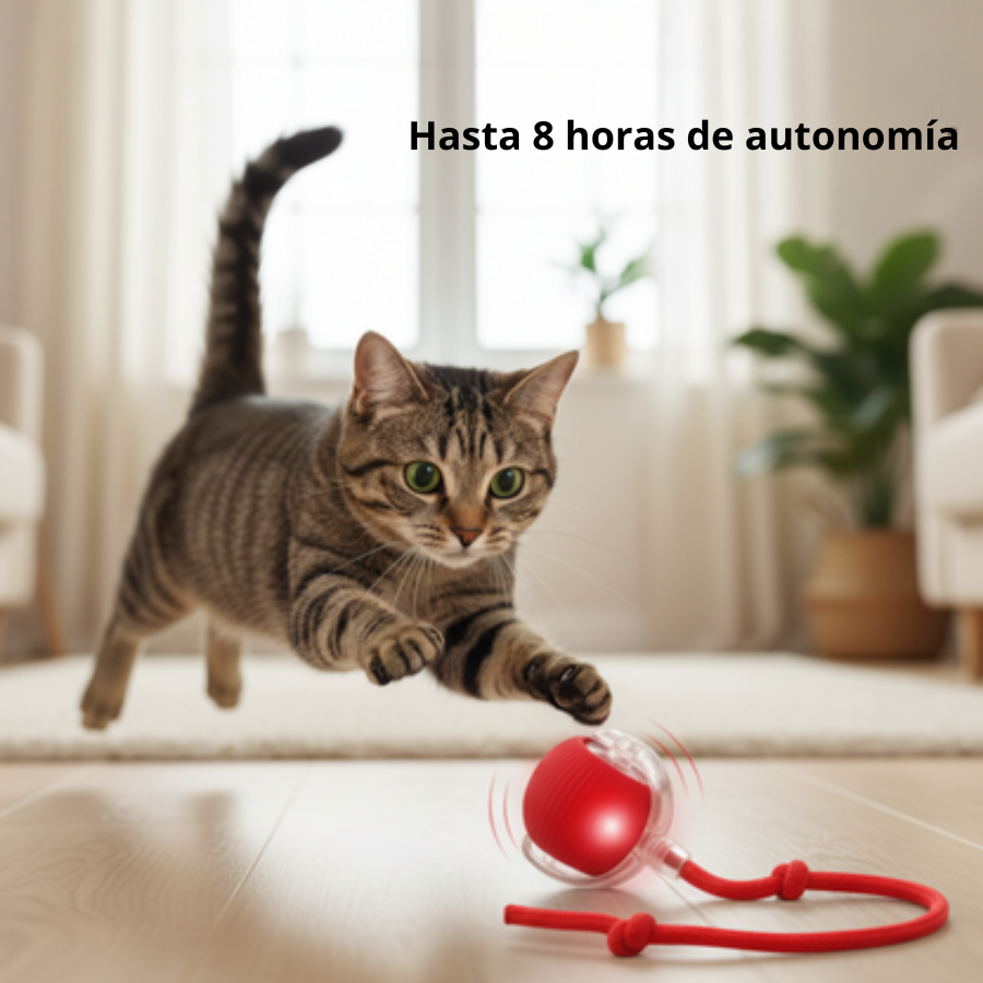 Pelota Mágica para gatos