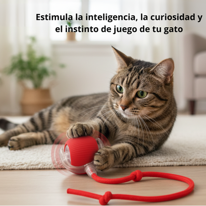 Pelota Mágica para gatos